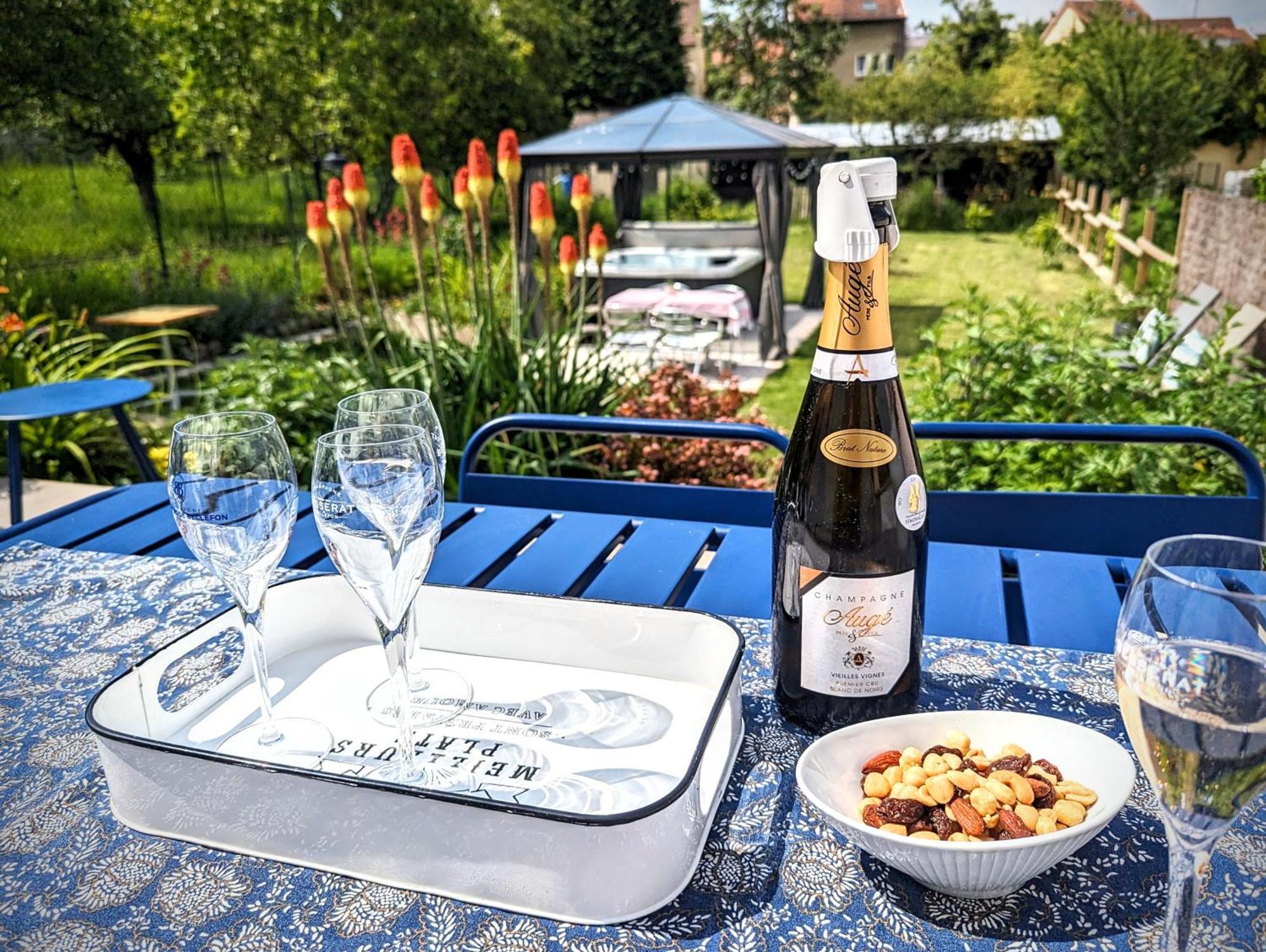 Le Cemarose: Spa, Jardin, Terrasse Et Jolie Vue Au Coeur D'Epernay Bagian luar foto